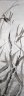 y3 copy.jpg - 